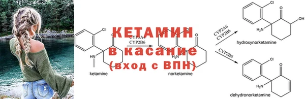 ешки Богданович